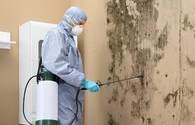 Best Mold Documentation for Insurance Claims  in USA